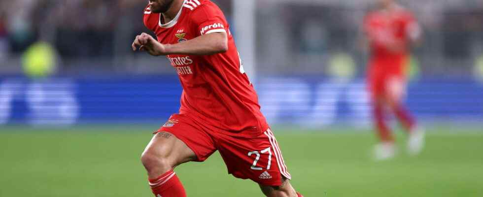 Porto Benfica winner in Porto Benfica soars in the