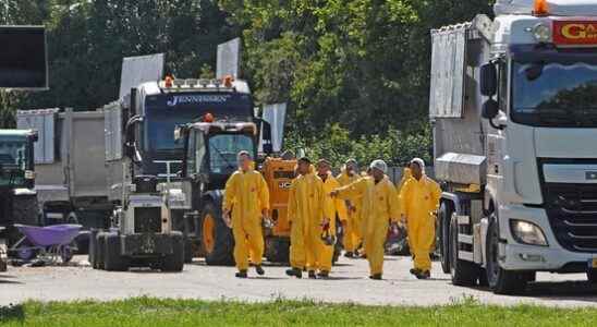 Poultry farmers want healthy animals to stop being culled