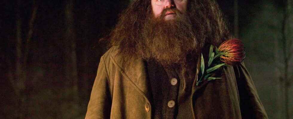 Robbie Hagrid Coltranes cause of death revealed