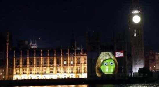 This is how the winning lettuce was displayed Interesting image