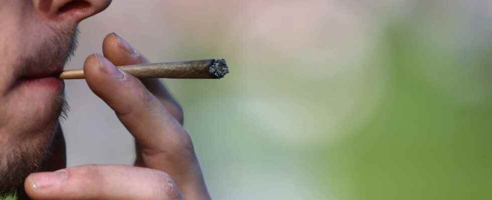 will it be legalized in France A bill filed