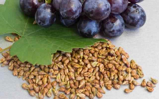 benefits of grape seeds