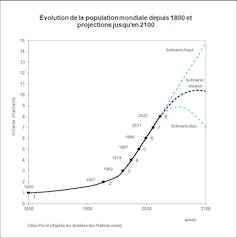 8 billion humans are there too many of us on