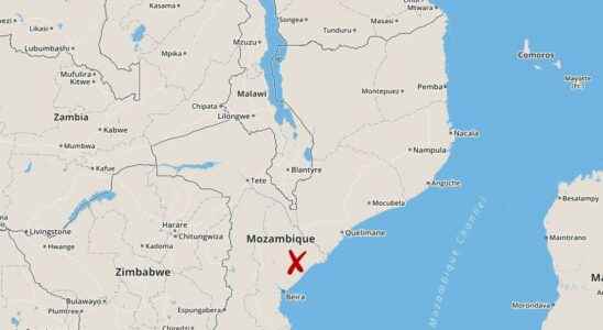 Aid worker killed in Mozambique