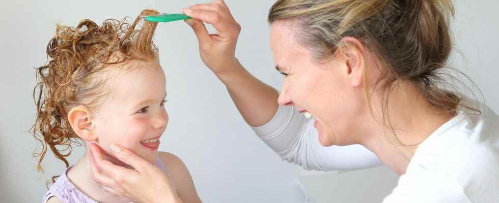 Anti lice effective treatments without insecticides