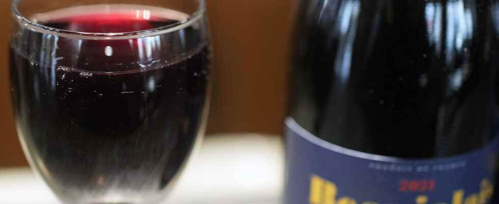 Beaujolais Nouveau 2022 what taste and what to eat with