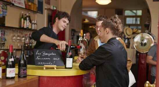 Beaujolais Nouveau the 2022 vintage is that of climate change