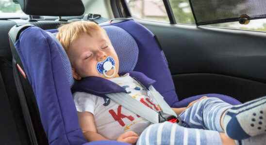 Best Baby Car Sunshade