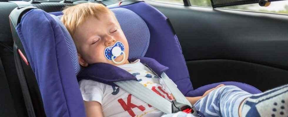 Best Baby Car Sunshade