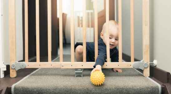 Best Baby Gates