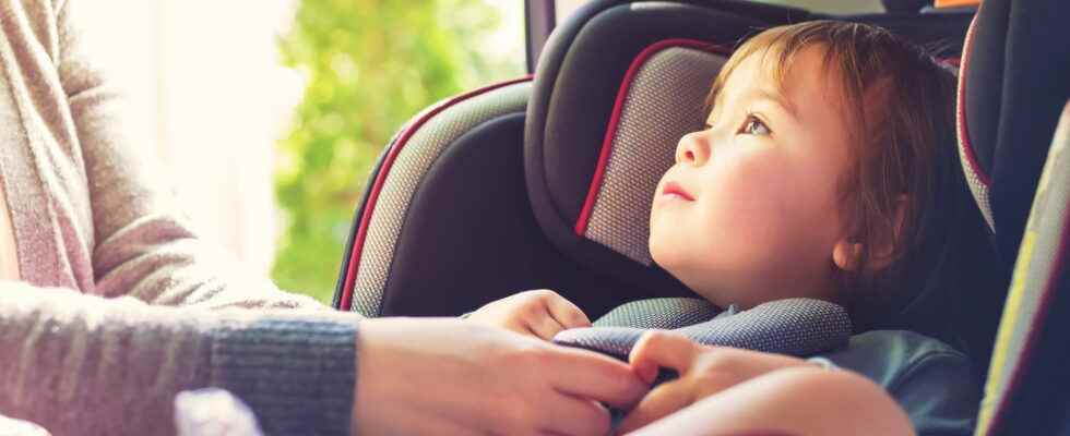 Best car seat for 23 year olds our selection