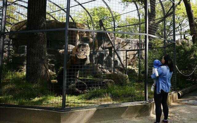 Bird flu alert in Berlin zoo closed