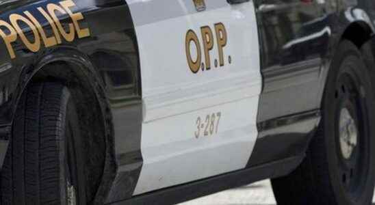 Brant County man 82 identified as homicide victim