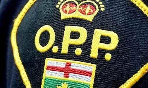 Brant OPP nab two drivers for stunt driving in a