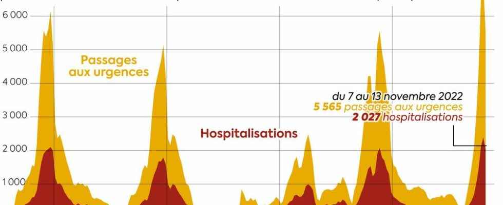 Bronchiolitis epidemic the immune debt a new scientific controversy