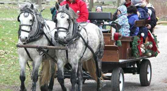 Canataras Christmas on the Farm returning to traditional roots