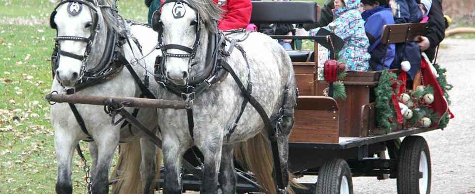 Canataras Christmas on the Farm returning to traditional roots