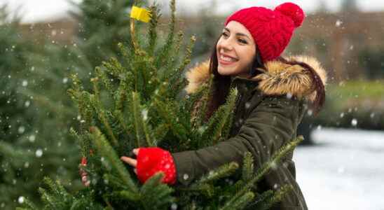 Christmas tree allergy symptoms which one to choose