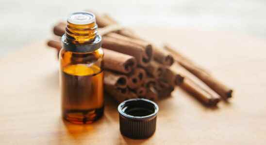 Cinnamon essential oil benefits wart gastro