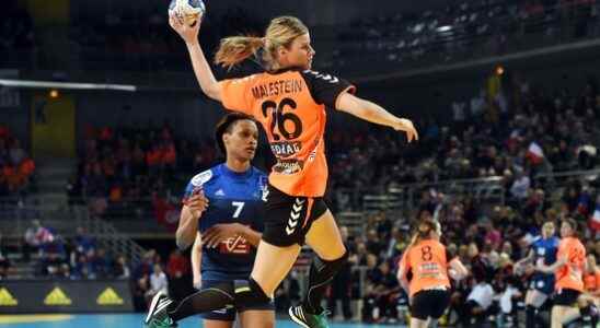 Downturn for Malestein and Van der Heijden handball players as