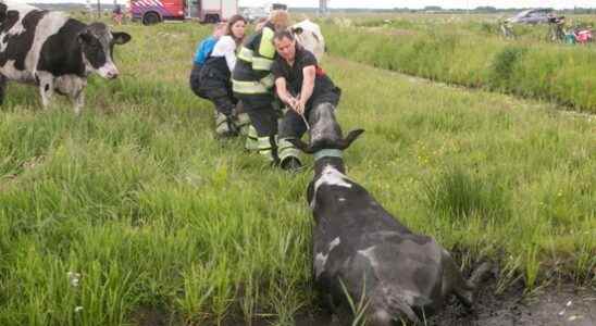 Eemnes fire brigade is aging municipality wants to promote young