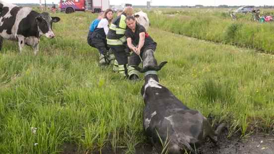 Eemnes fire brigade is aging municipality wants to promote young