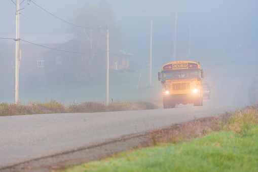 Fog forces school bus cancellations across region