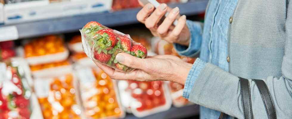 Food voucher expected for 2023 60 million euros are on