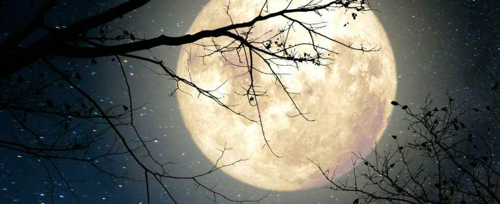 Full moon 2022 this November 8 what effects