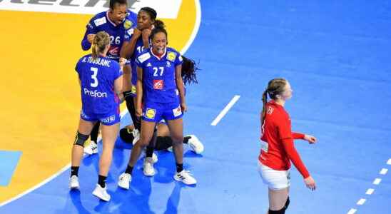 HANDBALL France Netherlands the Blue remain undefeated the summary