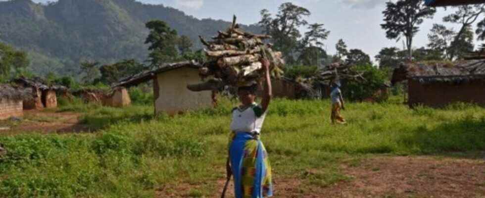 In Cote dIvoire the experience of improved stoves to reduce