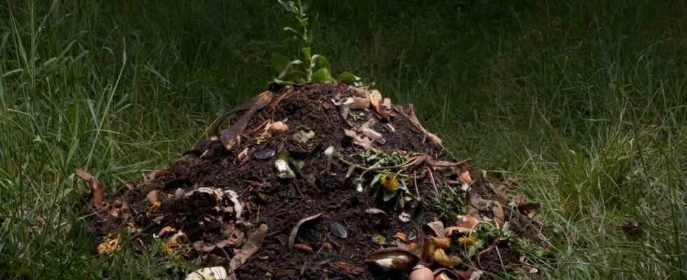 Making human compost is now legal in California