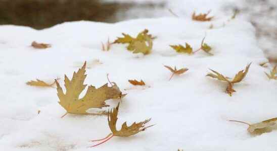 More messy weather could be on the way