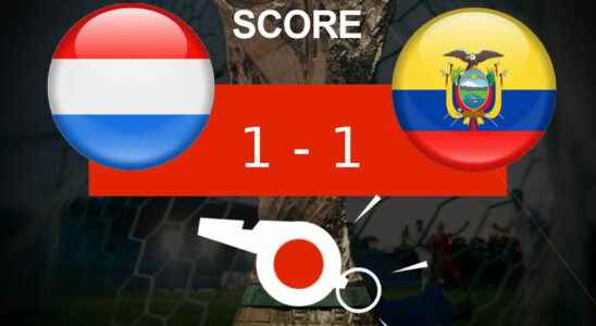 Netherlands Ecuador highlights of the match the summary of