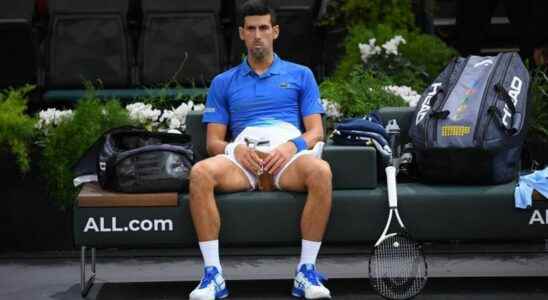 Novak Djokovics magic potion what can be in it