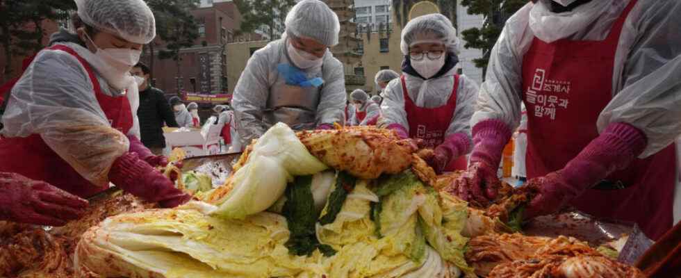 Poland and South Korea strengthen ties over fermented cabbage