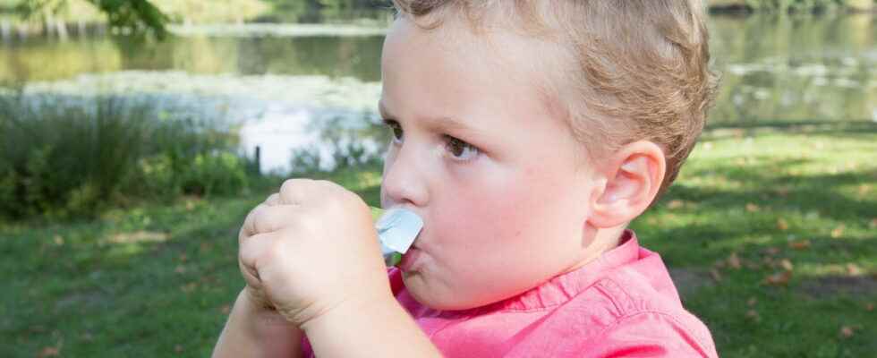 Reusable compote gourd the best for baby meals