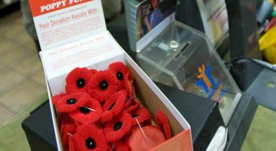 Saddened Veterans advocate laments local poppy box theft