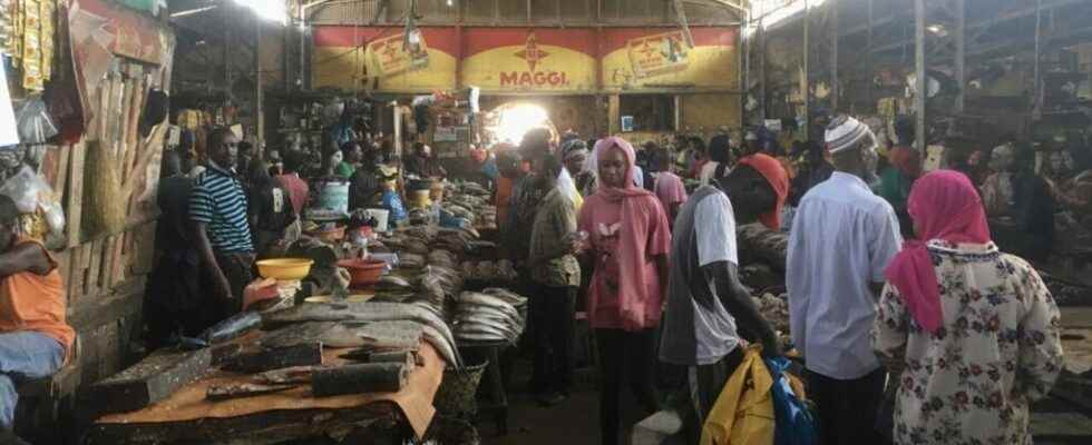 Senegal decrees a general price drop residents await the effects