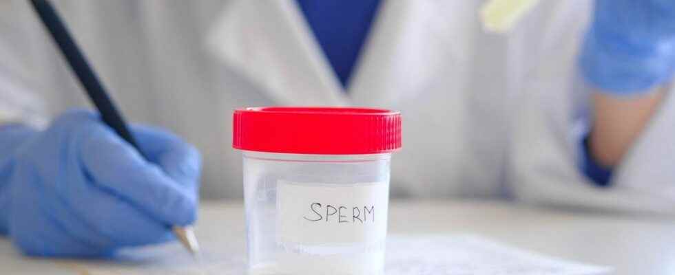 Sperm count has halved in less than 50 years