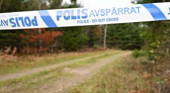 Suspects in Vetlanda not mentally disturbed