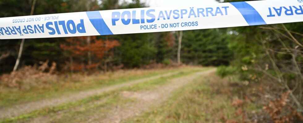 Suspects in Vetlanda not mentally disturbed