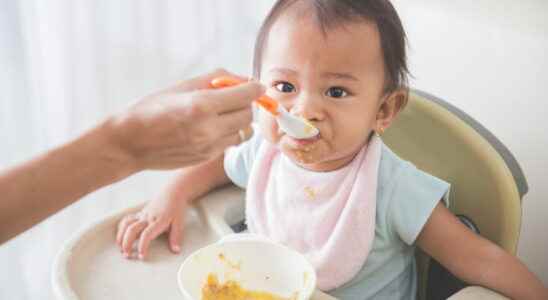 The best baby high chairs