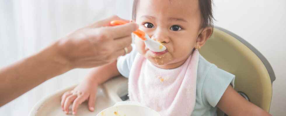 The best baby high chairs