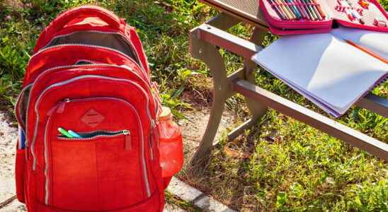 The best wheeled schoolbags for boys