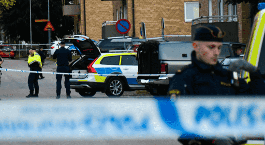 The children saw their mother murdered in Falkoping