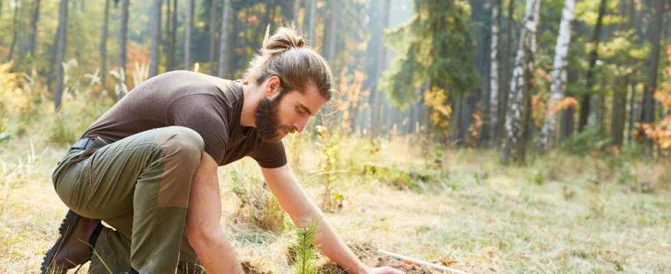 To live longer lets plant trees