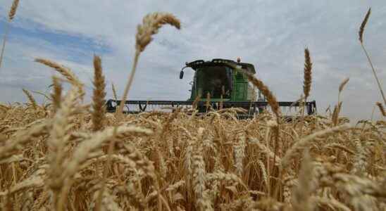 Ukrainian grain deal extended for winter