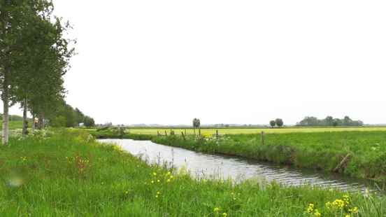 Utrecht council quarrels over Rijnenburg windmills