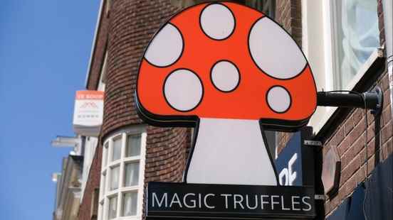 Utrecht research proves magic mushrooms can help against depression but